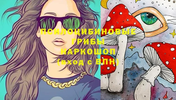 винт Горно-Алтайск