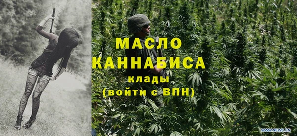 твердый Дмитровск