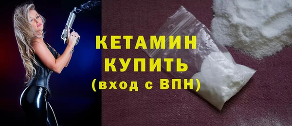 твердый Дмитровск