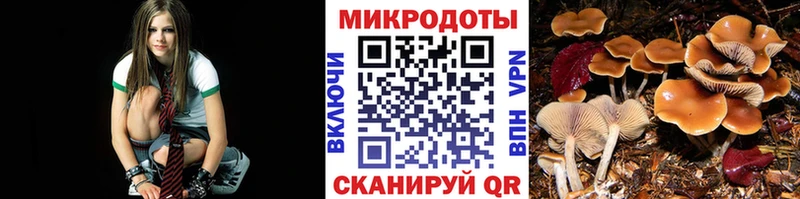 Галлюциногенные грибы Psilocybine cubensis  Купить  Клинцы 